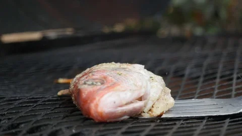 Close up shot of fish grilling Stock Footage 95488493