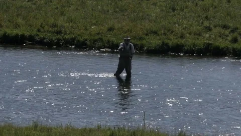 Close Up Shot of Fisherman Casting in Stream in Lake George Colorado Stock Footage 85221671