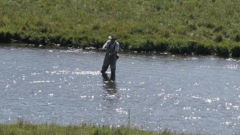 Close Up Shot of Fisherman Casting in Stream in Lake George Colorado Stock Footage 85223167