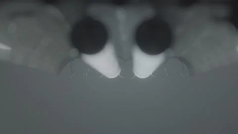 Close up shot of flickering fluorescent lights Stock Footage 136334849