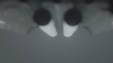 Close up shot of flickering fluorescent lights Stock Footage 136334897