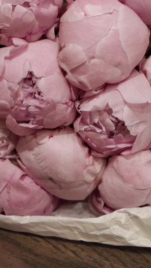Close-Up Shot of Florist Making a Bouquet of Flowers for Valentines Day. Stock-Footage 296593653
