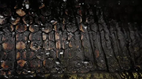 Close Up Shot of fluids being handled with oil and gas machinery Stock Footage 45236457