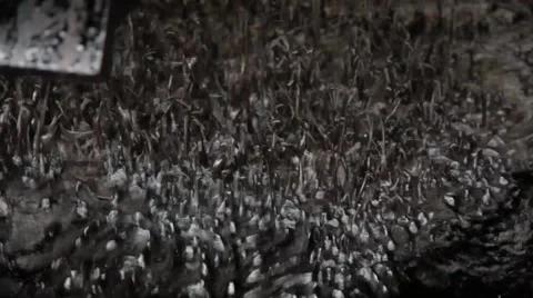 Close Up Shot of fluids being handled with oil and gas machinery Stock Footage 45236479