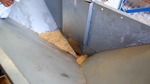 Close up shot footage Man worker pour the rice Video stock 47383825