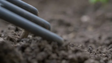 Close Up Shot Of Fork Digging Soil For Gardening Video stock 108945209