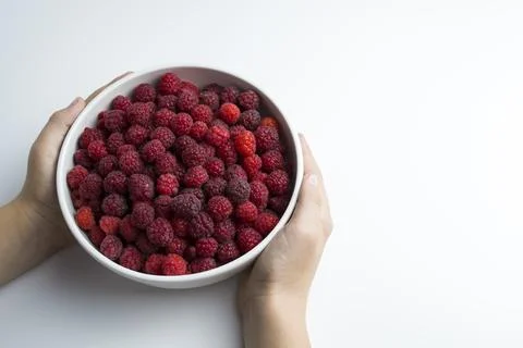 A close-up shot of a fresh raspberry in a white cup a child is holding in his Stock Photos