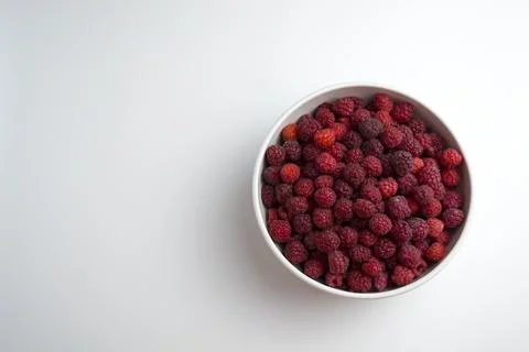 A close-up shot of a fresh raspberry in a white cup - perfect for a culinary Stock Photos