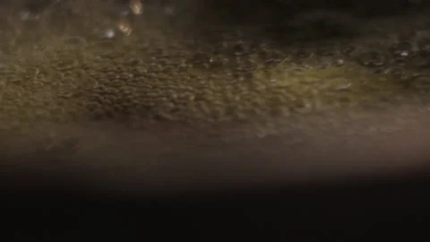 Close shot of Fried butter in a pan. Stock Footage 172073424