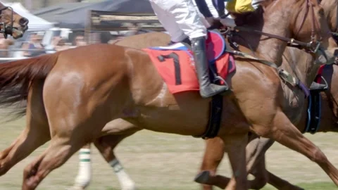 Close up shot of galloping horses and jockeys in a horse race. Stock-Footage 332015869