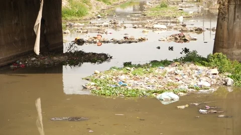 Close shot of garbage flowing with water in river Vídeo Stock 148539703