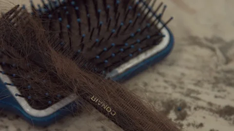 Close up shot of Hairy Comb Video stock 128993562