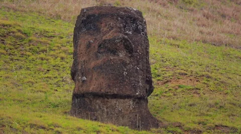 Close-up shot of half buried Moai statue on the hill, Easter Island Stock Footage 64258676