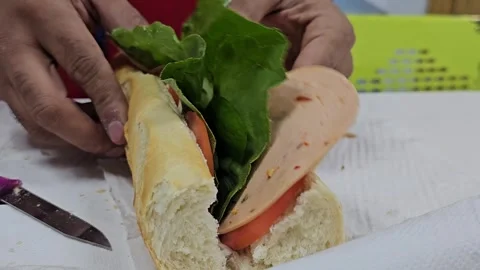 A close up shot of hands carefully assembling a fresh, delicious sandwich Stock-Footage 311766928