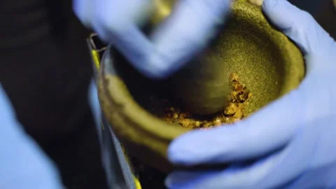 Close-up shot of hands grinding palm kernel fruit shells with mortar and 스톡 동영상 252566494