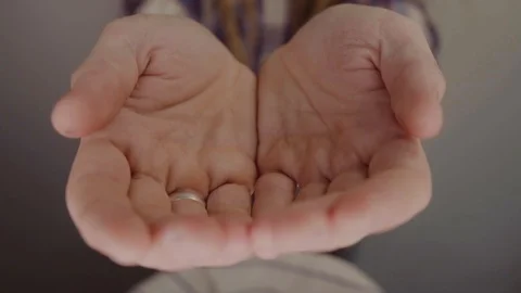 Close up shot of hands of master brewer with barley seeds. Dry malt beans ready Stock Footage 115969819