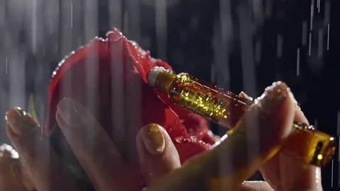 Close up shot of the hands of a woman who puts on the rose petals an aromatic oi Stock Footage