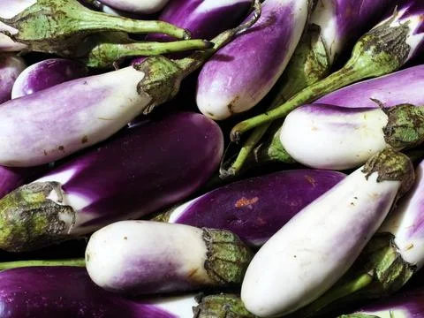 Close Up Shot Of A Heap Of Small, Fresh Eggplants Stock Photos