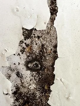 Close-up shot of heavily weathered white wall Stock Photos