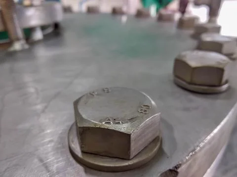 A close-up shot of a hexagonal bolt head, fastening a metal plate Stock Photos