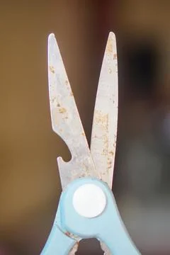 Close-up shot of the hinge section of a rusty multipurpose kitchen scissors Stock Photos