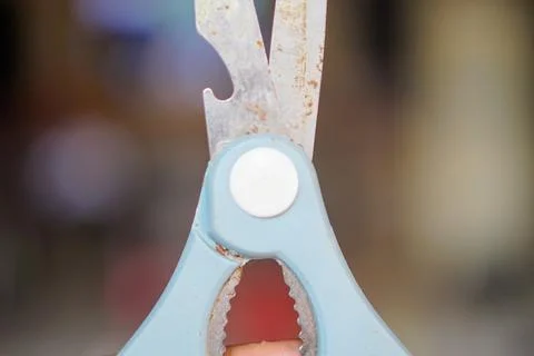 Close-up shot of the hinge section of a rusty multipurpose kitchen scissors Stock Photos