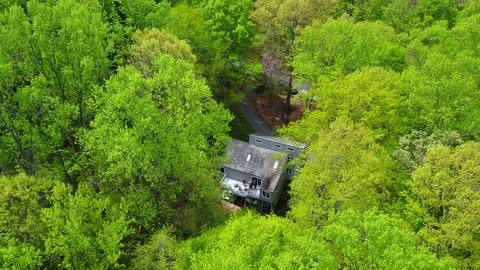 Close Up Shot of the House in the Woods Stock Footage