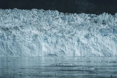 Close Up shot of huge Glacier wall. Large chunks of ice breaking off. Moody and Stock Photos