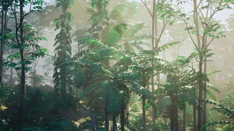Close shot of humid greenery showcasing layered leaves and sunlight Video stock 334685914