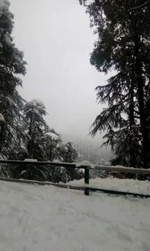 A close up shot of ice covering mountains , tree etc. Stock Photos