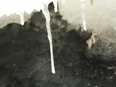 Close Up Shot of Icicles Stock Footage 73545775