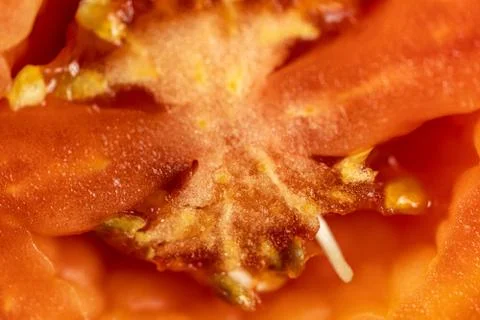 Close-up shot of the inside skin of half a red tomato. Stock Photos