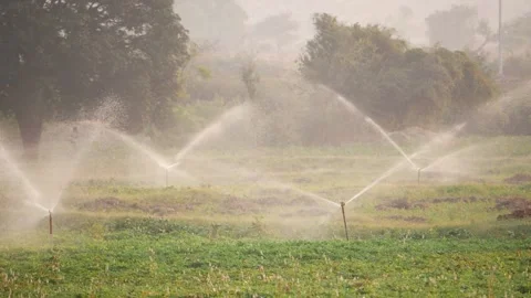 Close shot of irrigation system in India, fields irrigation system Video stock 151936984