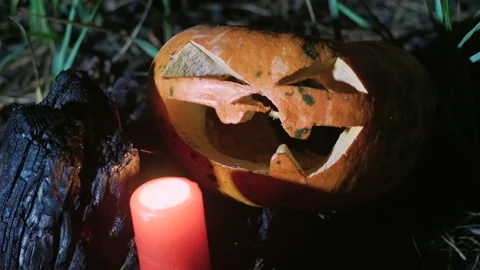 Close-up shot of Jack-o-lantern made for Halloween. One pumpkin on a stump. 4K Vídeo Stock 87316817