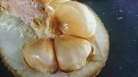 A close-up shot of a jackfruit, showcasing its vibrant yellow arils and uniqu Stock Photos