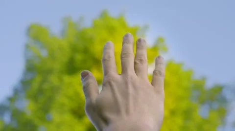 Close-up shot of keeping one hand up Stock Footage 67253689