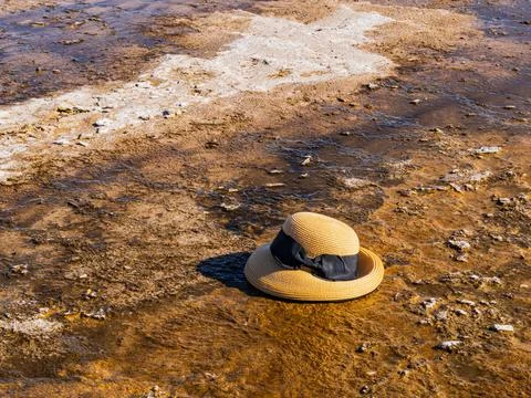 Close up shot of a lady's hat on spring Foto stock