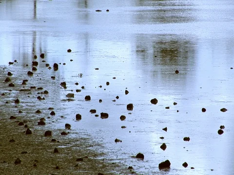 Close up shot of a lake with rocks. Gently swaying in the wind. Stock Footage 79940724