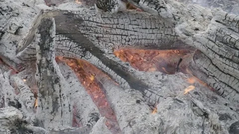 Close up shot of large logs burning in a fire pit slow motion Video stock 145681837