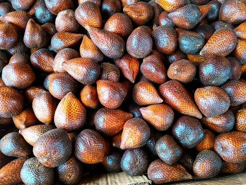 A close-up shot of a large pile of fresh Salak fruit.  Stock Photos