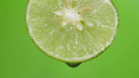 Close up shot of a Lemon Stock Footage 239019444