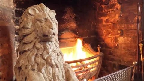 Close up Shot of Lion Statue and Red Fire Coals. Stock Footage 291349275