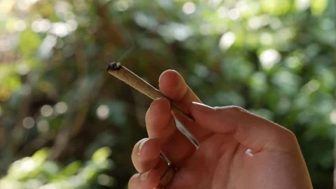 Close-up shot of a lit bidi or beedi in a woman hand. Thin cigarette filled with Stock Footage 314664897