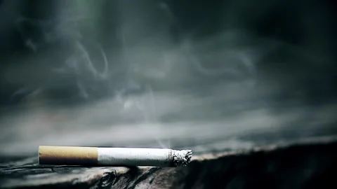 Close up shot of a lit cigarette butt 스톡 동영상 293764666