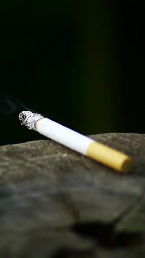 Close up shot of a lit cigarette butt Stock Footage 293767219