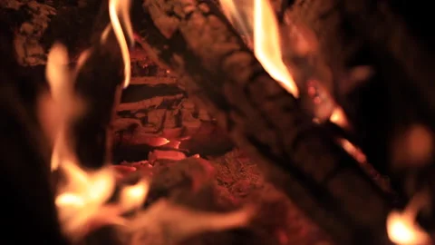Close up shot of logs burning in a fire pit 스톡 동영상 219992426