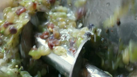 Close Shot of Machine Destemmer removing the Grapes from the Stems Stock Footage 256506946