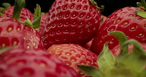 Close-up shot macro strawberry. Background of Fresh Harvest Strawberries Stock Footage 238441439