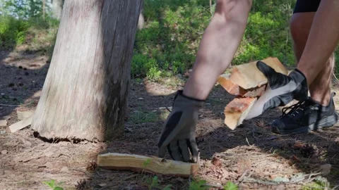 Close-up shot of a man gathering logs from the ground next to a chopping block. Stock Footage 338412714