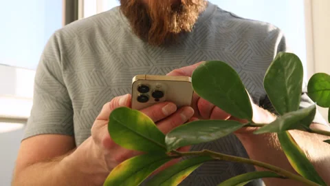 Close up shot of man hands using smart phone for check email for work or sending Video stock 229408433